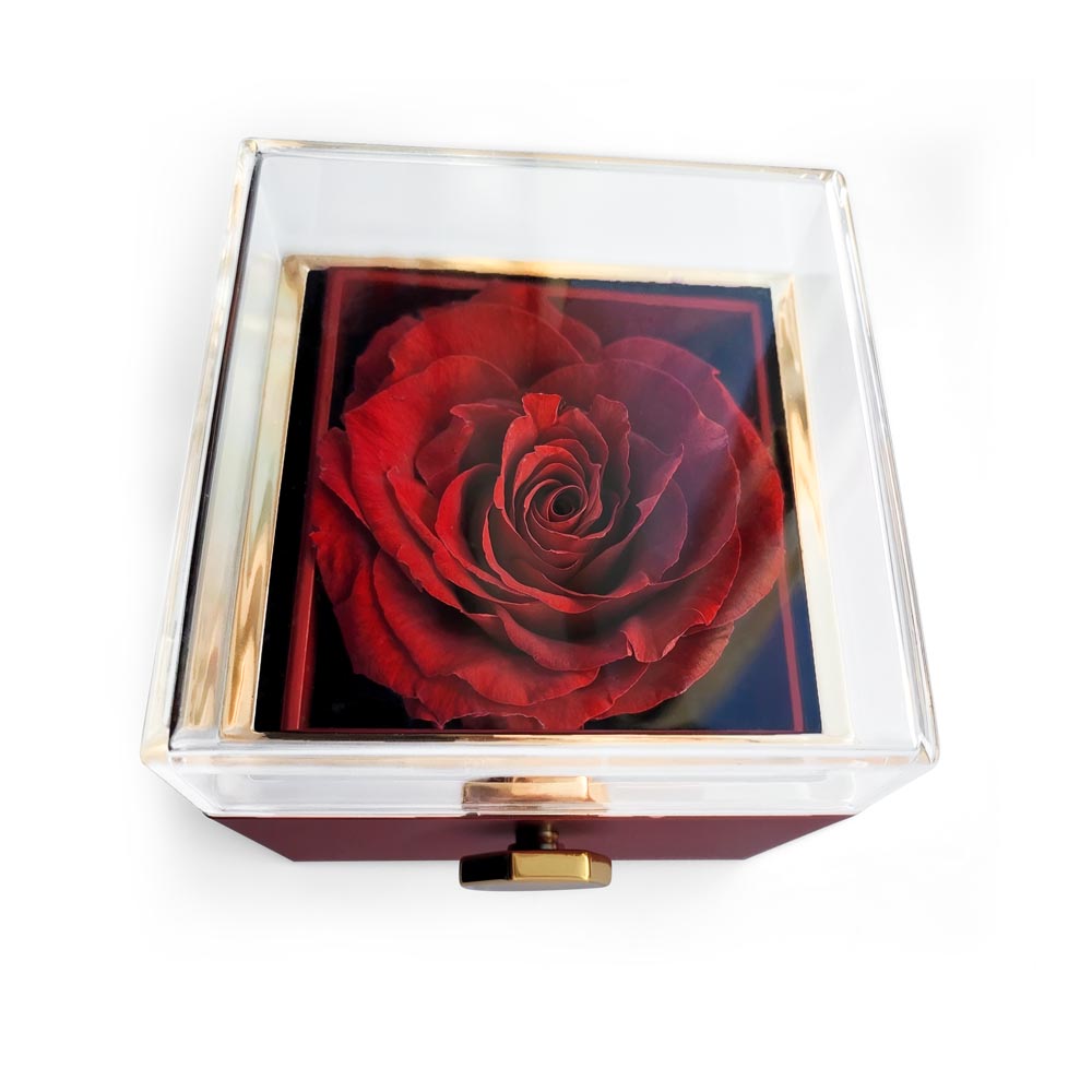 You Gave Me Wings To Fly Necklace - Rotating Rose Box