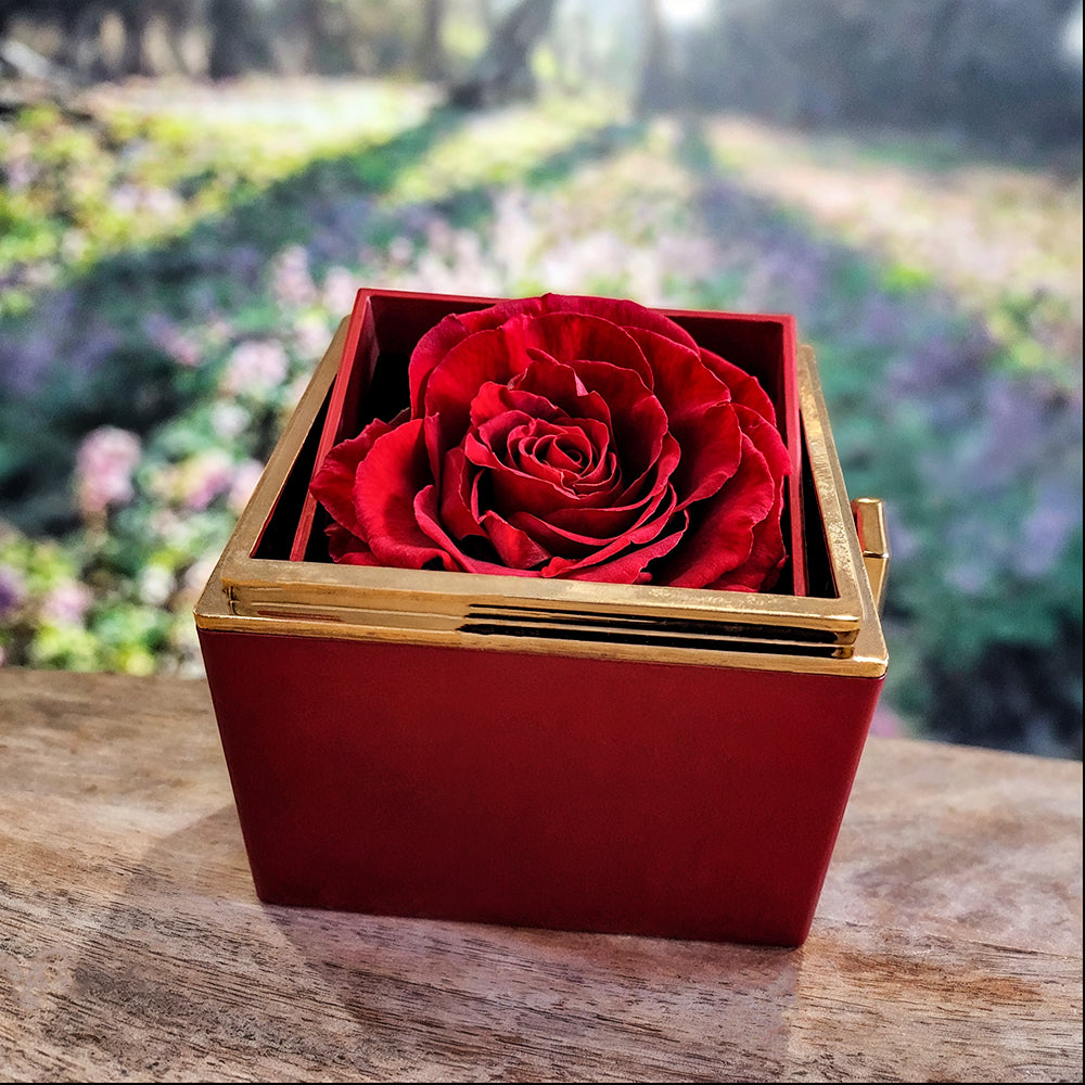 You Gave Me Wings To Fly Necklace - Rotating Rose Box