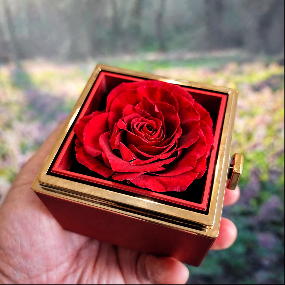 You Gave Me Wings To Fly Necklace - Rotating Rose Box